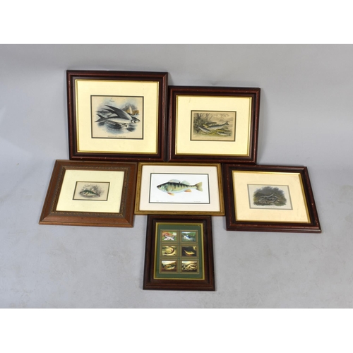 426 - A Collection of Various Framed Fishing Prints