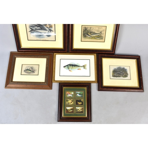 426 - A Collection of Various Framed Fishing Prints