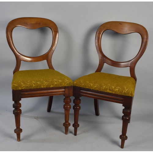 484 - A Set of Nine Plus One Late Victorian Balloon Back Mahogany Framed Dining Chairs