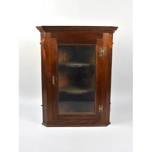 488 - A 19th Century Glazed Wall Hanging Corner Cabinet with Brass H Hinges, Shaped Inner Shelves and Dent... 