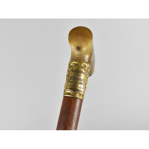 58 - An Edwardian Horn Handled Walking Stick with Gilt Metal Collar having Presentation Inscription Dated... 