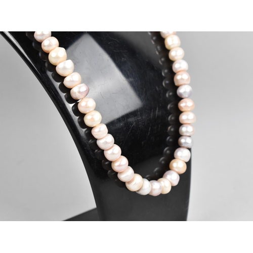 282 - A Pearl Necklace with Barrel Clasp