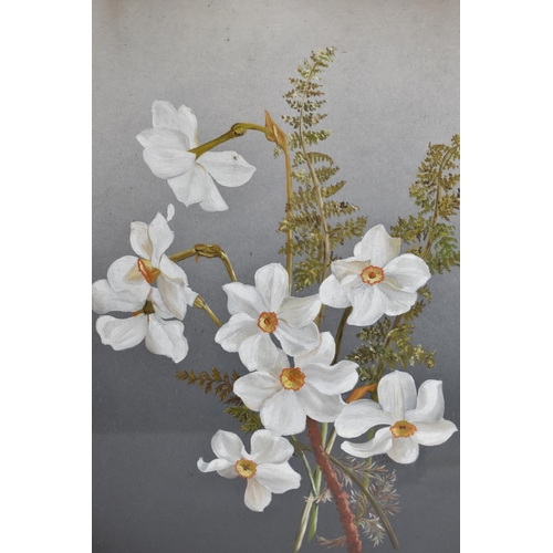 330 - A Late 19th/Early 20th Century Still Life Painting, Flowers, Subject 34x39cm