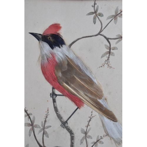 342 - A Pair Late 19th/20th Century Spanish Bird Watercolours, Titled 'Sorzal' and 'Gorrion', both well wo... 