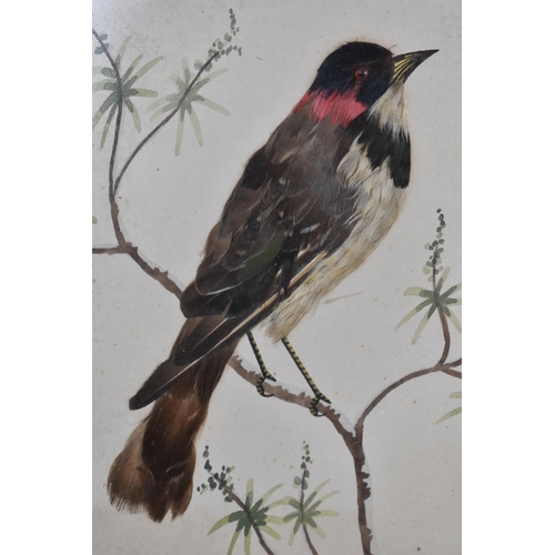 342 - A Pair Late 19th/20th Century Spanish Bird Watercolours, Titled 'Sorzal' and 'Gorrion', both well wo... 