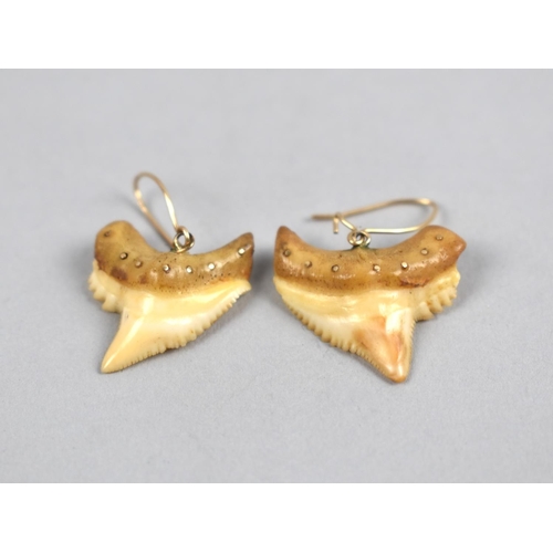 443 - A Pair of 18ct Gold Mounted Shark Tooth Earrings