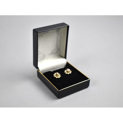 457 - A Pair of Ladies Jewelled Stud Earrings