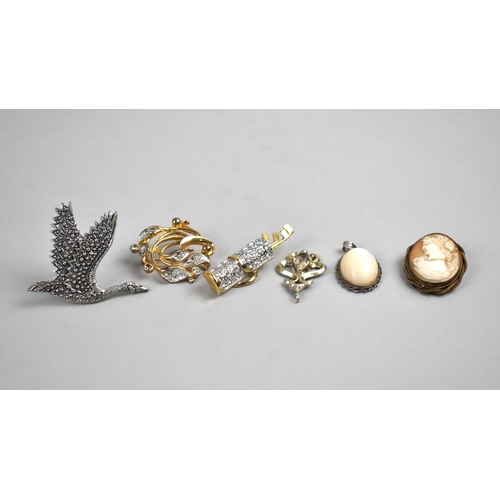 460 - A Collection of Various Brooches to include Cameo Example, Bird, Golfing Clubs in Caddy