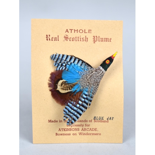 461 - A Scottish Athole Claw Brooch in Box together with a Further Scottish Athole Blue Jay Plume