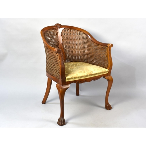 505 - A Late 19th/Early 20th Century Bergere Tub Armchair with Front Cabriole Paw Feet and Sabre Backs