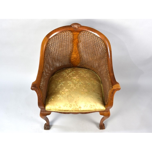 505 - A Late 19th/Early 20th Century Bergere Tub Armchair with Front Cabriole Paw Feet and Sabre Backs