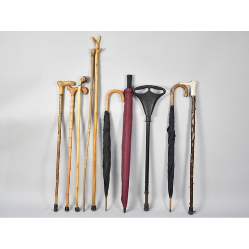 230 - A Collection of Various Walking Sticks, Shooting Stick and Umbrellas