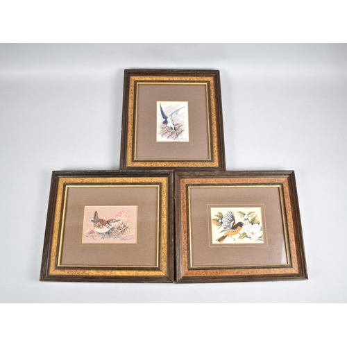 141 - Three Framed Cash's Silks, British Birds