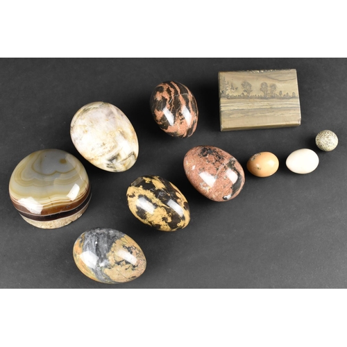 167 - A Collection of Various Polished Stone Eggs, Paperweights Etc