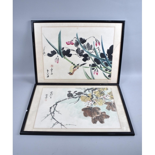 182 - A Pair of Framed Chinese Paintings of Birds, Each 43x33cms