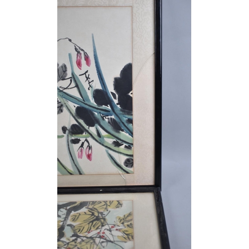 182 - A Pair of Framed Chinese Paintings of Birds, Each 43x33cms