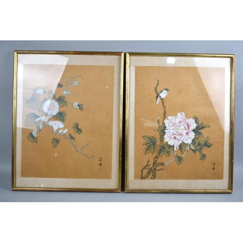 183 - A pair of Framed Chinese Paintings, Birds and Flowers, Each 30x38cms