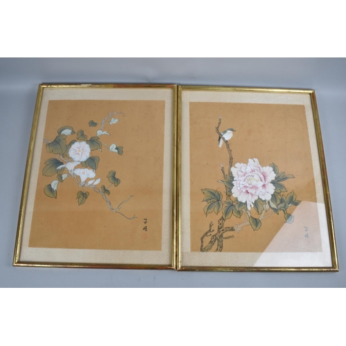 183 - A pair of Framed Chinese Paintings, Birds and Flowers, Each 30x38cms