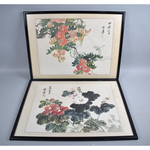 240 - A Pair of Framed Chinese Prints, Each 43x32cms