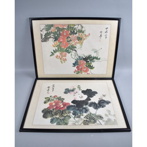 240 - A Pair of Framed Chinese Prints, Each 43x32cms