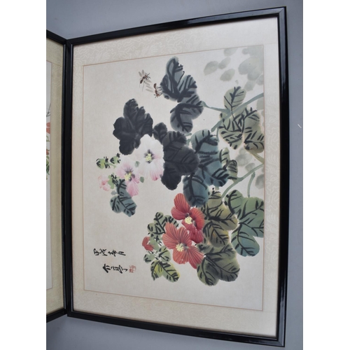 240 - A Pair of Framed Chinese Prints, Each 43x32cms