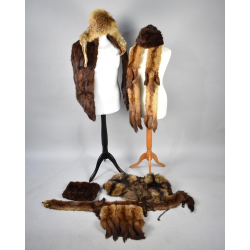 272 - A Collection of Various Vintage Fur Stoles and a Muff