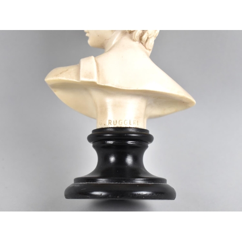 29 - An Italian Grand Tour Style Resin Bust of David After G Ruggeri, 14cms High