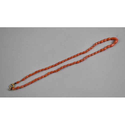 303 - A Victorian Red Coral Bead Necklace, Clasp AF, 36cms Long