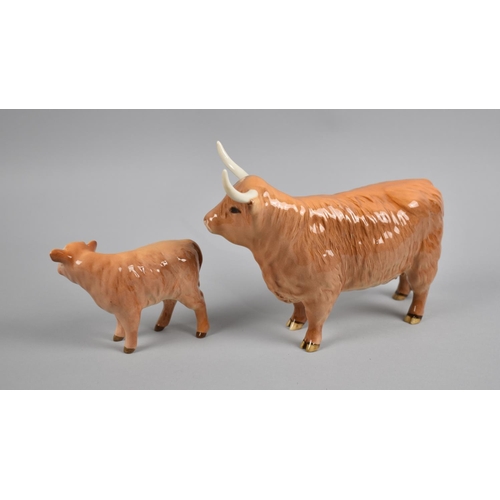 422 - A Beswick Highland Cow and Calf with Box