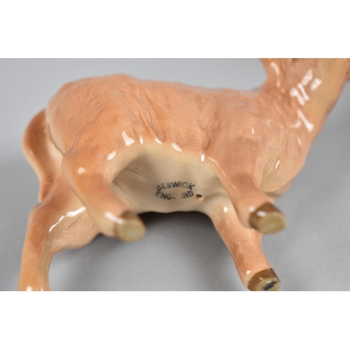 422 - A Beswick Highland Cow and Calf with Box