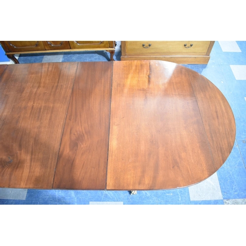 556 - A Three Pedestal Mahogany Oval Topped Dining Table Extending to 287cms by 105cms, Brass Claw Castors