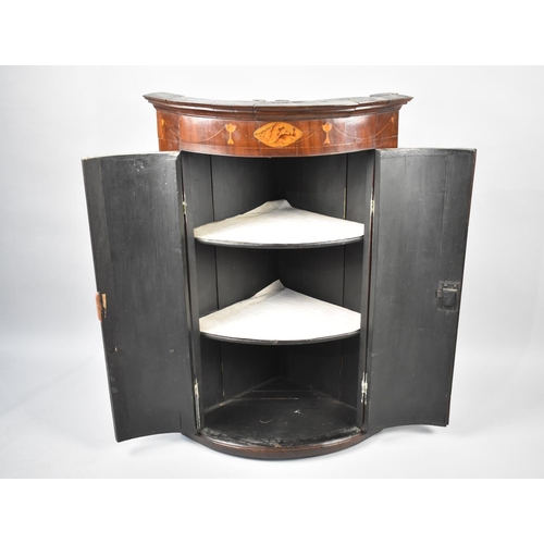 562 - A 19th Century Bow Fronted Inlaid Wall Hanging Corner Cabinet with Brass Hinges, 67cms Diameter