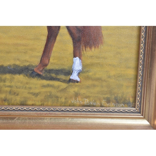 179 - A Framed Oil on Canvas Depicting Chestnut Horse, Signed John Brian Evanson, 39x29cms