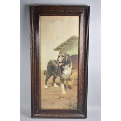 228 - An Edwardian Oak Framed Print of a Newfoundland Dog, Signed Georges Albert, 26x65cms