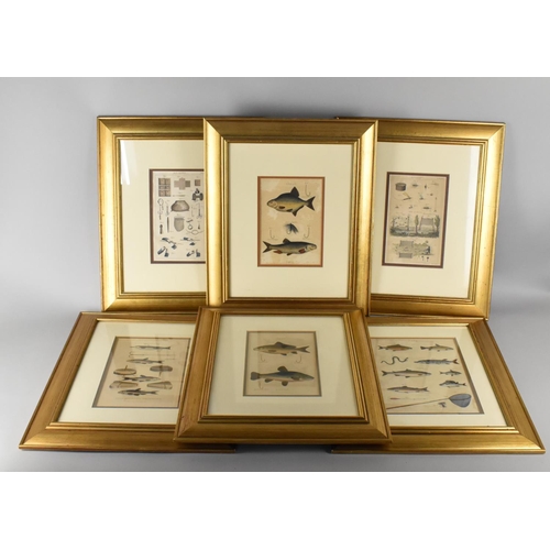 Fishing Bookplates 