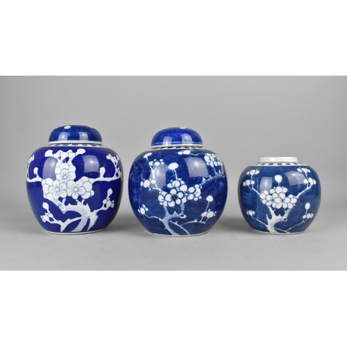 291 - Three Chinese Porcelain Blue and White Prunus Pattern Ginger Jars, Two with Covers, Tallest 15cm hig... 