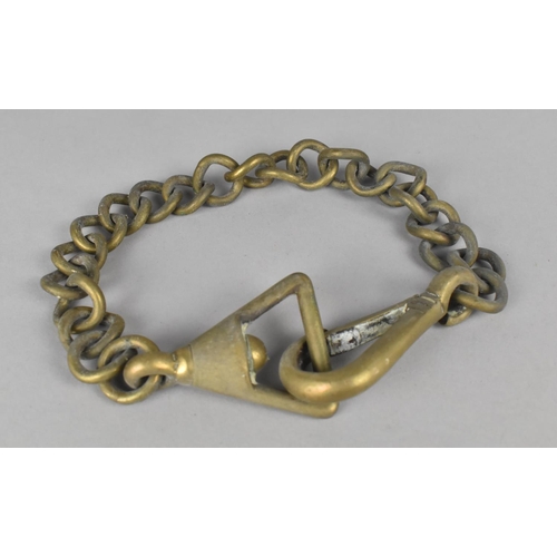 373 - A Brass Chain Dog Collar, 40cm long