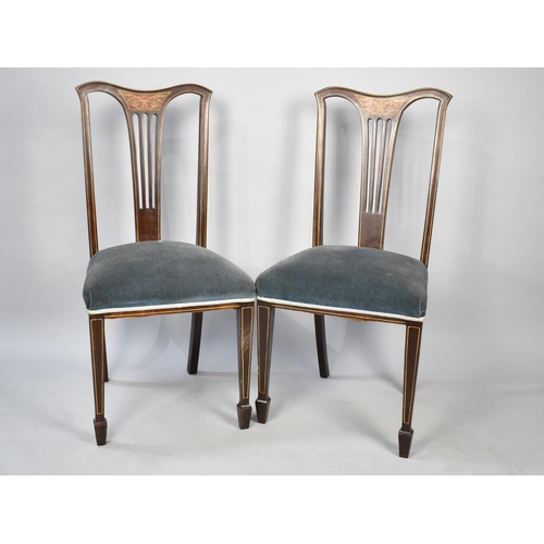 542 - A Pair of Edwardian Inlaid Mahogany Side Salon Chairs, Square Tapering Supports with Spade Feet