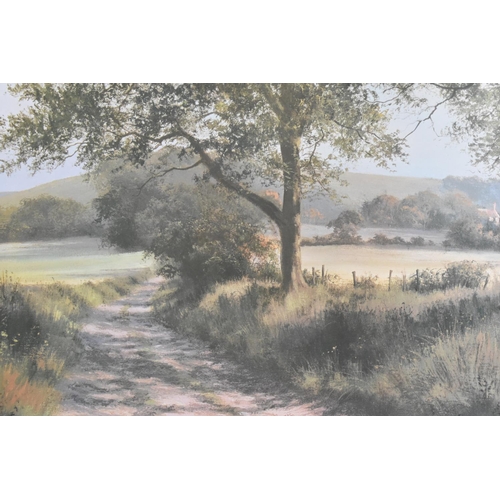 312 - A Large Framed Print, South Downs Way by D. J. Dipnall, 76x50cm