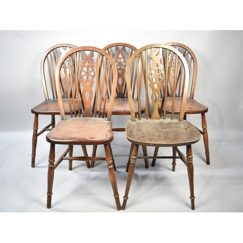 565 - A Harlequin Set of Five Wheel Back Dining Chairs