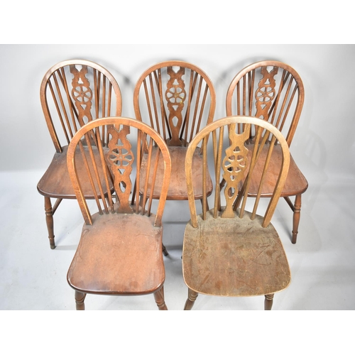 565 - A Harlequin Set of Five Wheel Back Dining Chairs