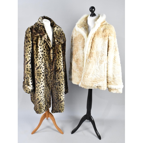 367 - A Collection of Various Ladies Faux Fur Jackets to Include Examples by Zepla (size L), Roman (Size X... 