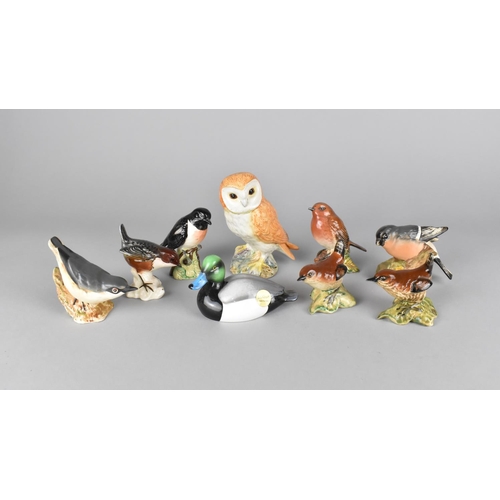 394 - A Collection of Nine Various Beswick Birds to Include Owl, John Beswick Greater Scaup etc, Various C... 