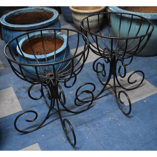 443 - Two Black Painted Wrought Iron Plant Stands, 52cm high