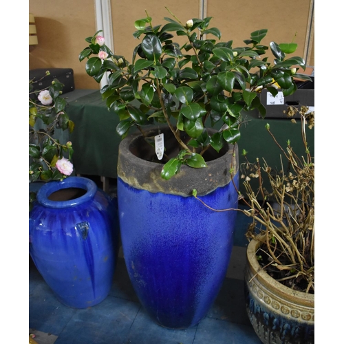 459 - A Large Blue Glazed Garden Planter, 87cm high