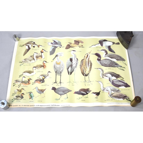 472 - A Collection of Various RSPB Bird Posters