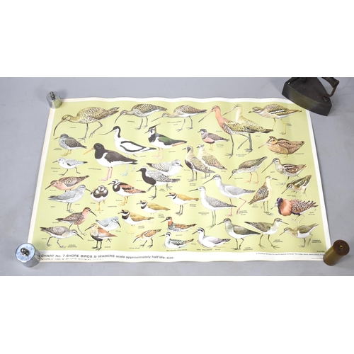 472 - A Collection of Various RSPB Bird Posters