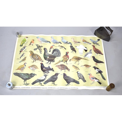 472 - A Collection of Various RSPB Bird Posters