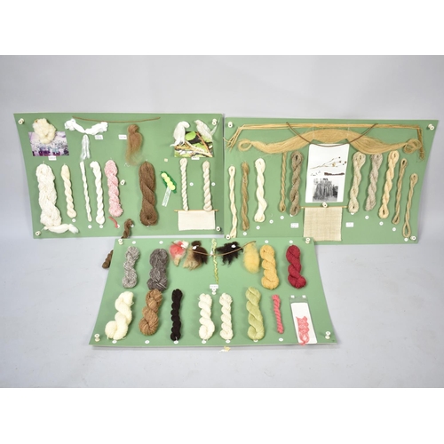 480 - A Collection of Various Cotton and Wool Display Boards, Samples Etc, 80cms Wide