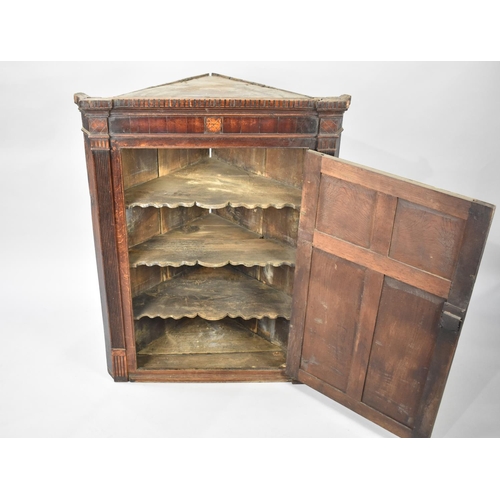 513 - A 19th Century Inlaid Oak Wall Hanging Corner Cabinet with Shaped Shelves, 80cms Wide